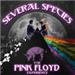 Several Species:  The PINK FLOYD Experience