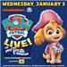 Paw Patrol Live!:  The Great Pirate Adventure