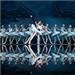 National Ballet Theatre of Odessa Presents Swan Lake