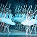 State Ballet of Ukraine - Swan Lake
